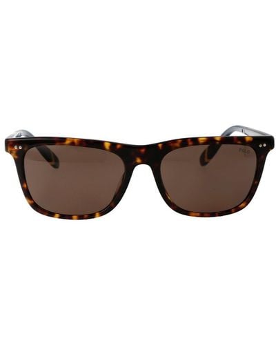 Polo Ralph Lauren Sunglasses - Brown