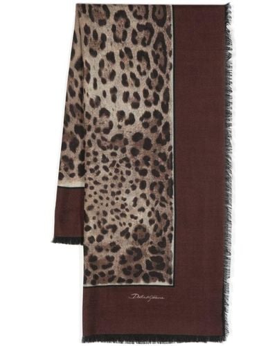 Dolce & Gabbana Leopard-print Cashmere-blend Scarf - Brown