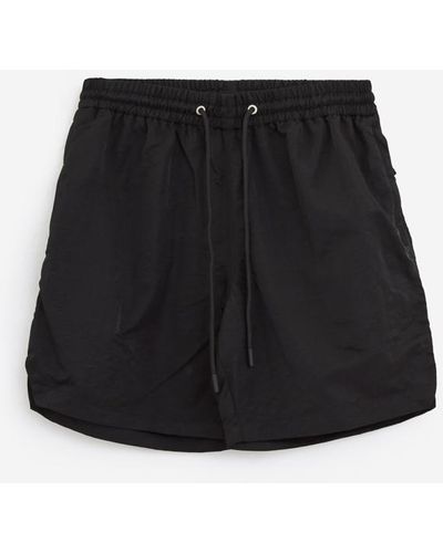 sunflower Shorts - Black