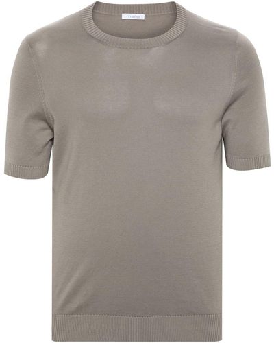Malo Short-sleeved Fine-knit Sweater - Grey