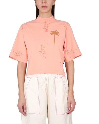 Palm Angels Pxp Palm Tree-print Cropped T-shirt - Pink