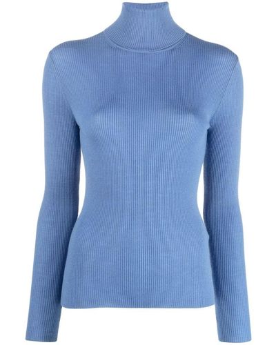P.A.R.O.S.H. Roll-neck Ribbed Wool Sweater - Blue
