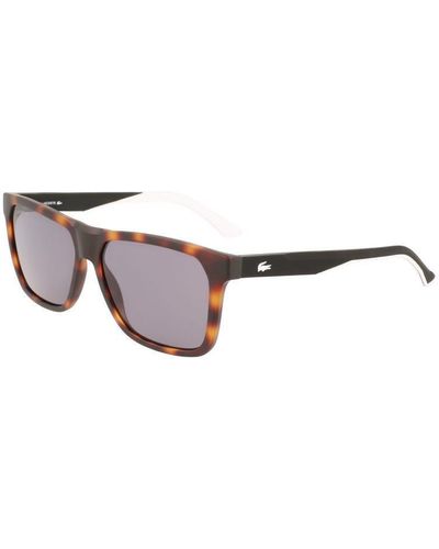 Lacoste Men's Sunglasses L972s-230 Ø 57 Mm - Brown