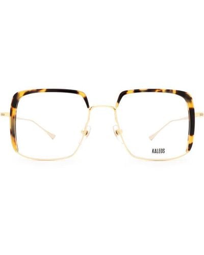 Kaleos Eyehunters Eyeglasses - Multicolor