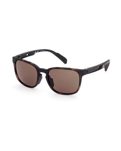 adidas Originals Sunglasses - Brown