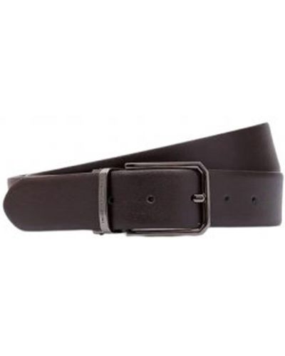 Gianni Chiarini 3.5Cm Leather Belt Accessories - Brown