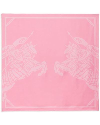 Burberry Foulards & Scarfs - Pink