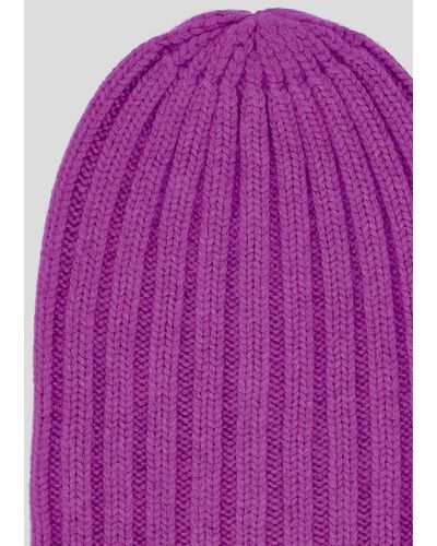 Laneus Hats - Purple