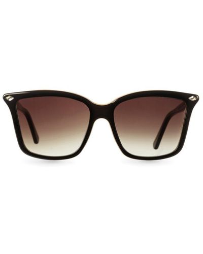 Eclipse Ec227 Sunglasses - Brown