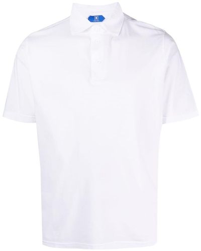KIRED Cotton Polo Shirt - White