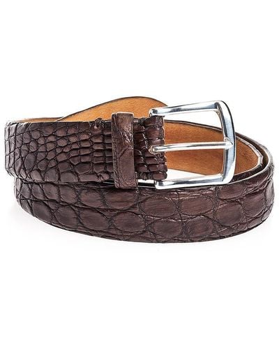 D'Amico Belts - Brown