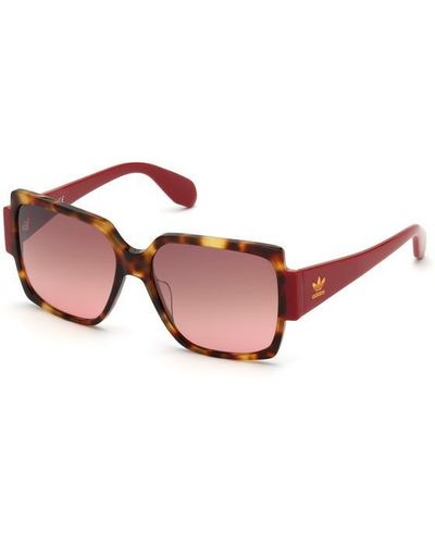 adidas Originals Sunglasses - Pink