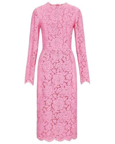Dolce & Gabbana Branded Floral Cordonetto Lace Sheath Dress - Pink
