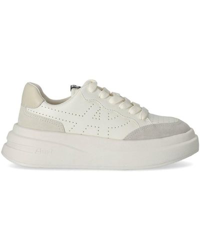 Ash Impuls Bis White Sneaker - Grey