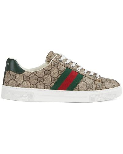 Gucci Ace Sneaker With Web - Brown