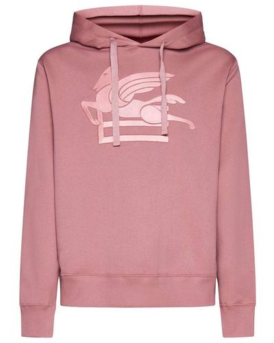 Etro Sweaters - Pink
