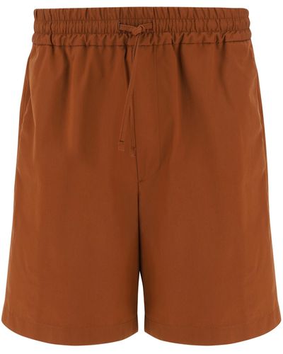 Lardini Shorts - Brown