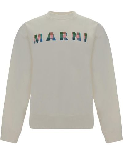 Marni Sweatshirt - Gray