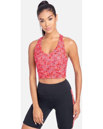 Bebe Bras for Women, Online Sale up to 39% off