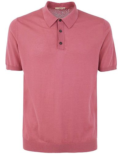 Nuur Polo Shirt: Cotton - Pink