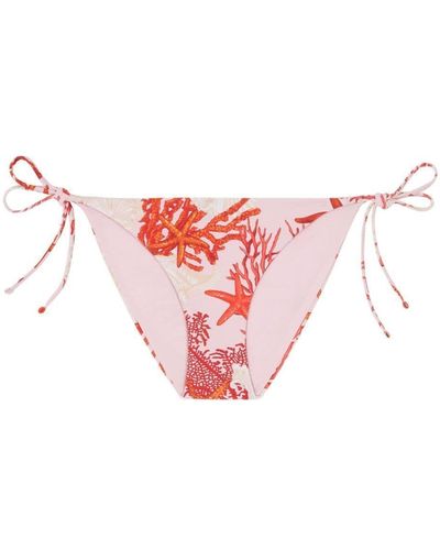 Versace Swim Slip Corals Print - Pink