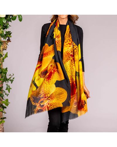 Black The Orchid Trilogy - Yellow Orchid Cashmere And Silk Wrap