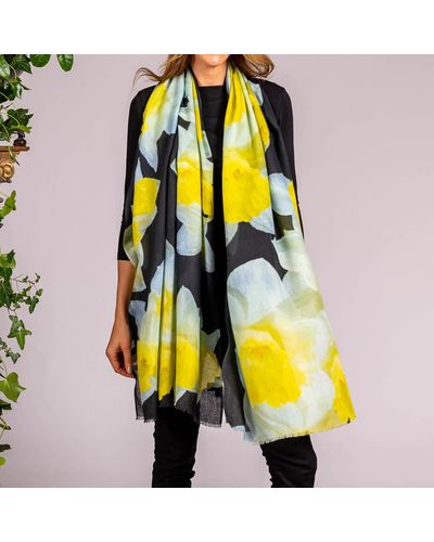 Black The Floral Trilogy - Yellow Daffodil Cashmere And Silk Wrap