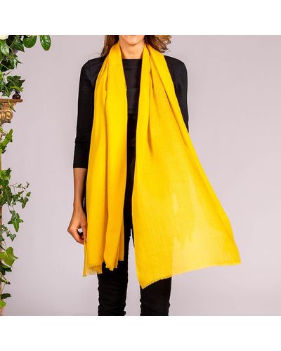Black Mellow Yellow Cashmere And Silk Wrap