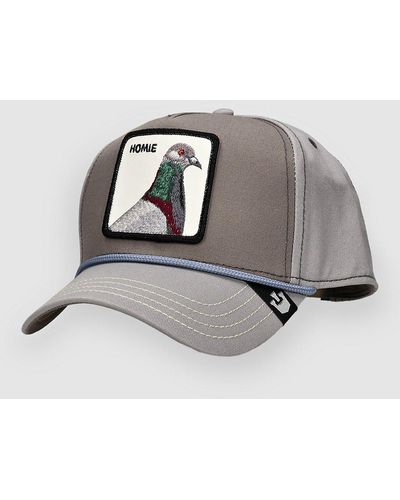 Goorin Bros Pigeon 100 gorra gris