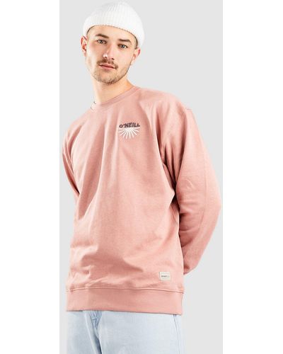 O'neill Sportswear Camorro jersey rosado