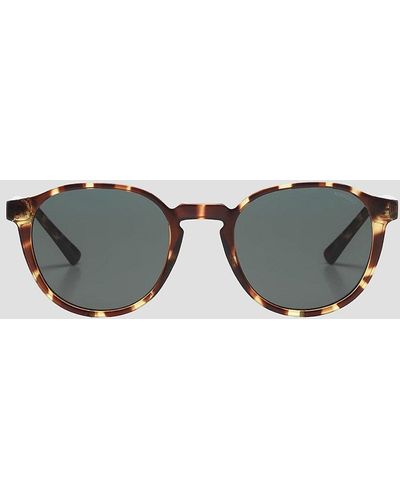 Komono Liam gafas de sol marrón - Gris