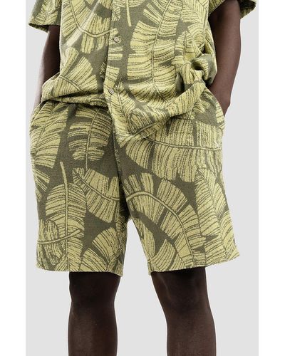 Iriedaily Bananos shorts - Grün