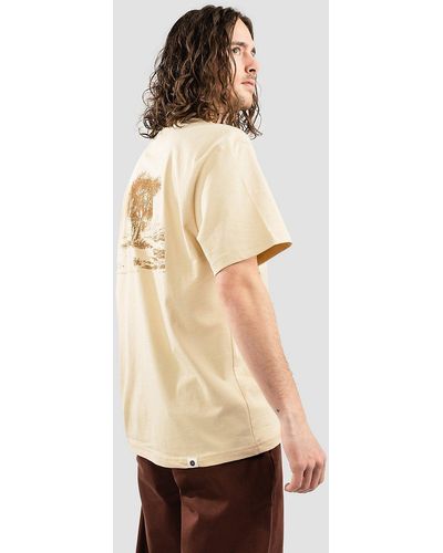 Anerkjendt Akkikki olive1 camiseta marrón - Neutro