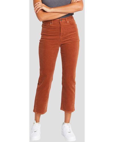 Volcom Stoned straight 27 pantalones rojo - Naranja