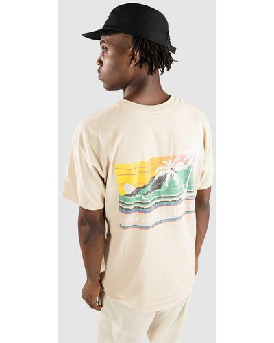 Dravus Palms everywhere camiseta - Multicolor