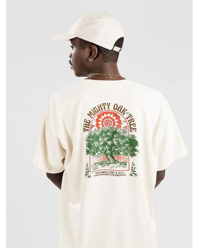 Dravus Mighty oak camiseta - Blanco