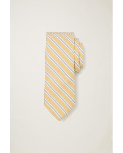 Bonobos Premium Necktie - Multicolor