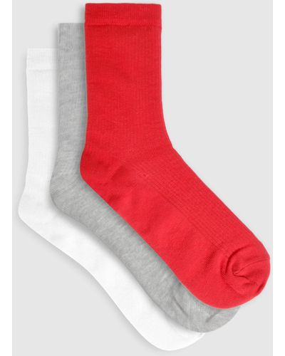 Boohoo 3 Pack Ribbed Socks - Red