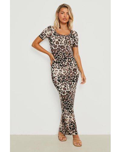 Boohoo Leopard Scoop Neck Short Sleeve Maxi Dress - Brown