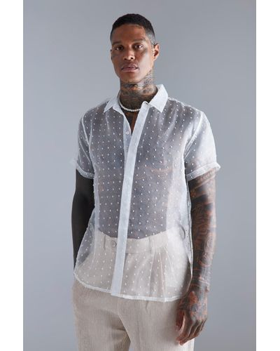 Boohoo Short Sleeve Sheer Organza Dobby Shirt - Grey