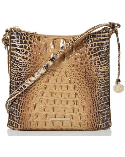 Brahmin Katie - Brown