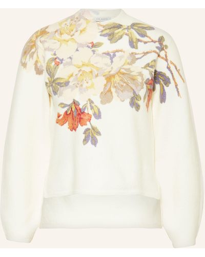 Ted Baker Pullover EVHAA - Natur