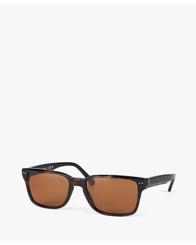 Brooks Brothers Brown Rectangle Sunglasses - Bianco