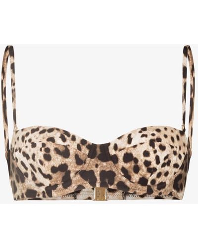 Dolce & Gabbana Leopard Print Balconette Bikini Top - Women's - Polyamide/elastane - Brown