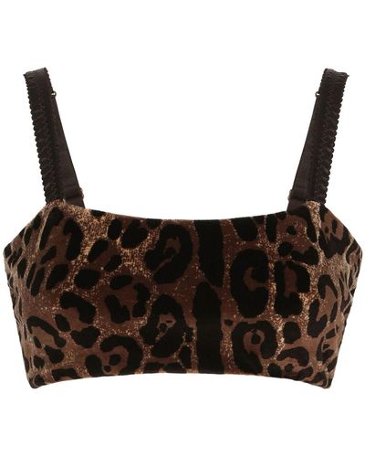Dolce & Gabbana Leopard-print Sleeveless Crop Top - Brown