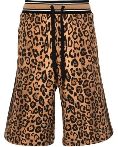 Dolce & Gabbana Cheetah-print Cotton Track Shorts - Brown