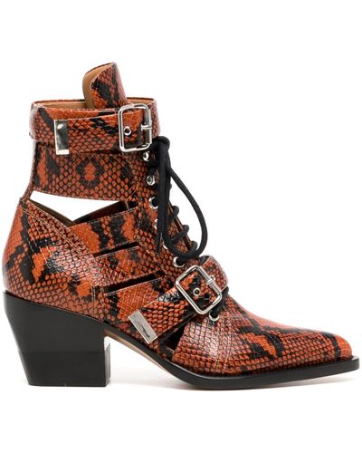Chloé Reilly 60mm Snakeskin Boots - Brown