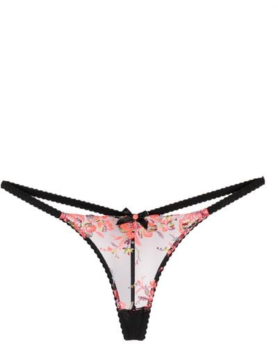 Agent Provocateur Lexx Floral-embroidered Sheer Thong - Natural