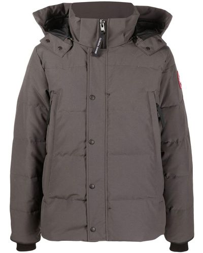Grey goose store jacket mens