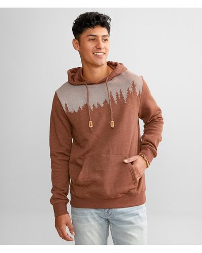 Tentree Juniper Hooded Sweatshirt - Brown